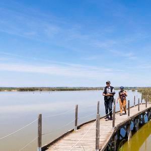 Vauvert (30) : touristes marchant sur une passerelle en bois dans le Centre de Decouverte du Scamandre, paysages de Petite Camargue - Photo by Lefrancq G/ANDBZ/ABACAPRESS.COM