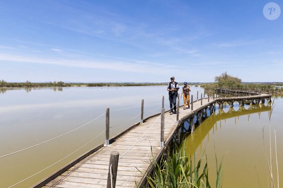 Vauvert (30) : touristes marchant sur une passerelle en bois dans le Centre de Decouverte du Scamandre, paysages de Petite Camargue - Photo by Lefrancq G/ANDBZ/ABACAPRESS.COM