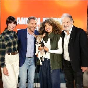 Exclusif - Nolwenn Leroy, Bernard Montiel, Oli et son chien Monday et Raphaël Mezrahi sur plateau de l'émission "Animalement Vôtre" présentée par B.Montiel et diffusée le 25 janvier 2026 sur France 3, à Paris, France, le 3 décembre 2025. © Jack Tribeca/Bestimage