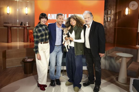 Exclusif - Nolwenn Leroy, Bernard Montiel, Oli et son chien Monday et Raphaël Mezrahi sur plateau de l'émission "Animalement Vôtre" présentée par B.Montiel et diffusée le 25 janvier 2026 sur France 3, à Paris, France, le 3 décembre 2025. © Jack Tribeca/Bestimage