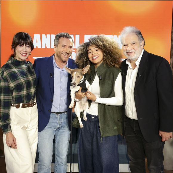 Exclusif - Nolwenn Leroy, Bernard Montiel, Oli et son chien Monday et Raphaël Mezrahi sur plateau de l'émission "Animalement Vôtre" présentée par B.Montiel et diffusée le 25 janvier 2026 sur France 3, à Paris, France, le 3 décembre 2025. © Jack Tribeca/Bestimage