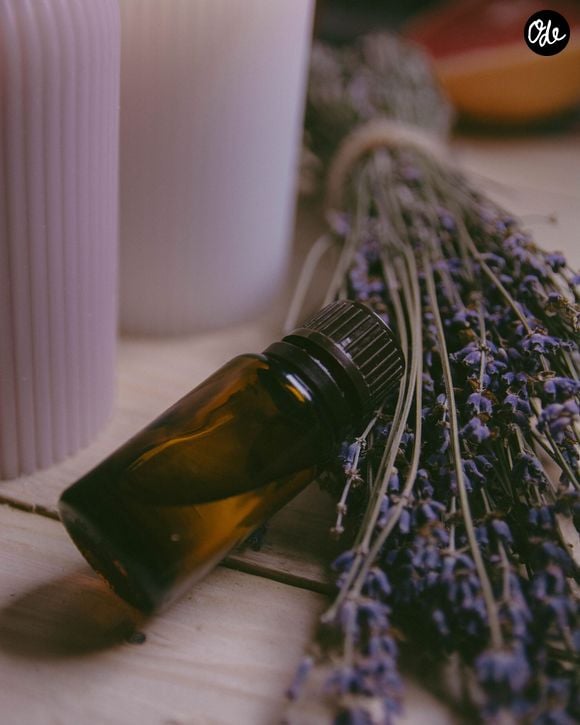 Les huiles essentielles s'imposent notamment comme des répulsifs naturels d'une efficacité redoutable.