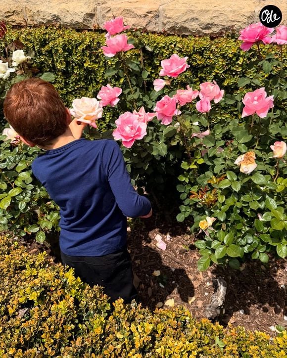 Le prince Harry et Meghan Markle protègent leurs enfants, Lilibet et Archie, de la médiatisation. Capture d'écran Instagram