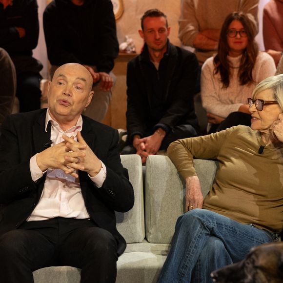 Exclusif - Bernard Montiel, Raphaël Mezrah, Oli. avec Chantal Ladesou et Eric Baratay invités, et Olivia la juriste sur plateau de l'émission "Animalement Vôtre" présentée par Bernard Montiel et diffusée le 8 février 2026 sur France 3, à Paris, France, le 12 janvier 2026. © Julien Sarkissian/Bestimage