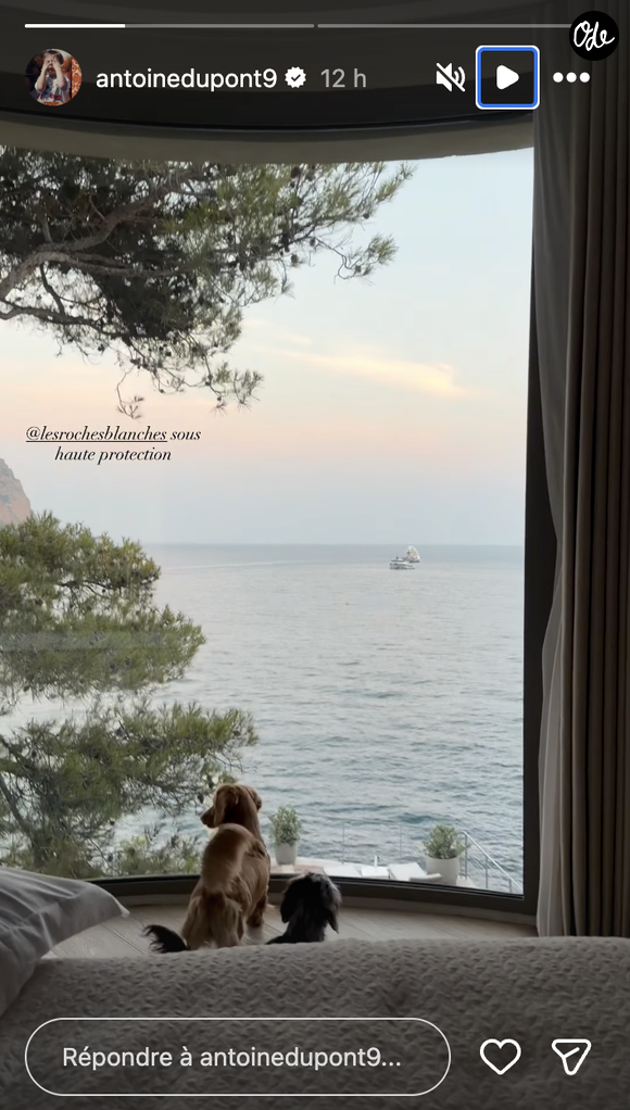 Sur la première image, on découvre la vue imprenable depuis sa chambre, où ses deux adorables petits chiens observent l'horizon marin à travers une immense baie vitrée.

Antoine Dupont en vacances à Cassis