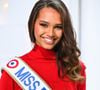 De son côté, la France a vibré aux couleurs de sa représentante, Indira Ampiot. 

Exclusif - Indira Ampiot ( Miss France 2023 )- Enregistrement de l'émission Vivement dimanche au studio Gabriel, présentée par M.Drucker, et diffusée sur France 3, le 08 janvier 2023. © Guillaume Gaffiot / Bestimage