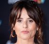 Dans les années 2000, Faustine Bollaert présentait une émission intitulée "Décrochez vos vacances". C’est alors qu’elle était avec Stéphane Basset, en direct, que l’accident s'est produit comme elle a pu le raconter à "TV Magazine".

Faustine Bollaert assiste a la Conference de Presse de rentree de France Televisions a Paris, France le 11 Juillet 2023. Photo par Aurore Marechal/ABACAPRESS.COM