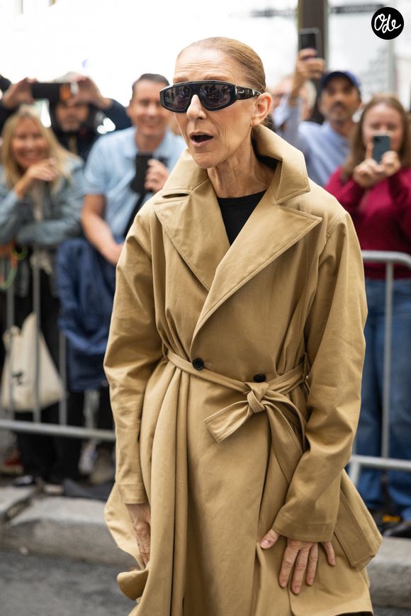 Céline Dion acclamée par ses fans à son arrivée au palace Royal Monceau à Paris, le 28 août 2026. © CYRIL MOREAU / BESTIMAGE
