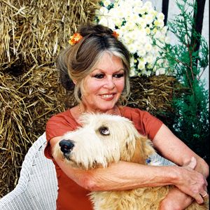 En septembre elle s'est confiée au "Monde" sur son quotidien là-bas

Brigitte Bardot fête son anniversaire.