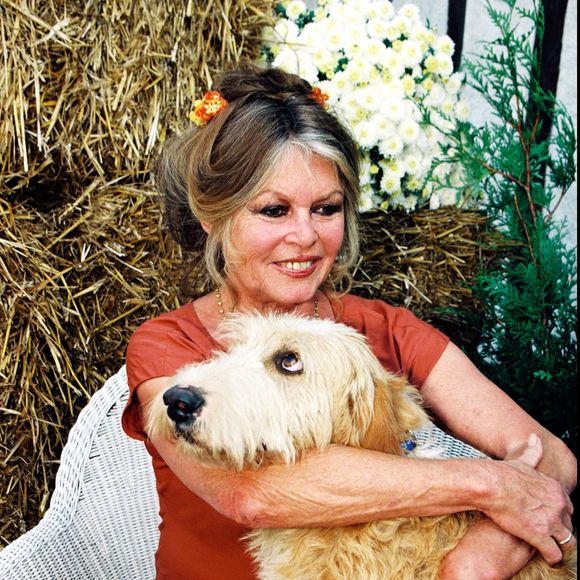 En septembre elle s'est confiée au "Monde" sur son quotidien là-bas

Brigitte Bardot fête son anniversaire.