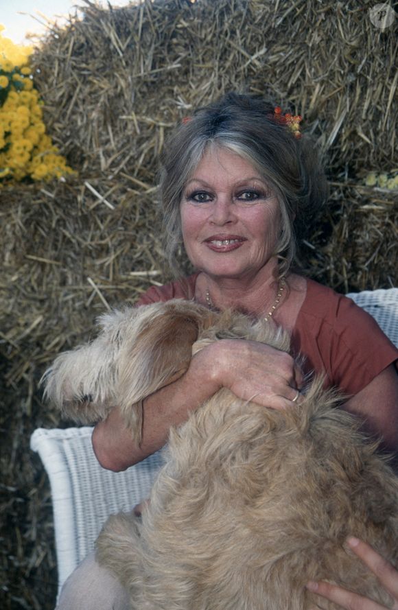 Brigitte Bardot au refuge de La Mare Auzou Photo par APS-Medias/ABACAPRESS.COM