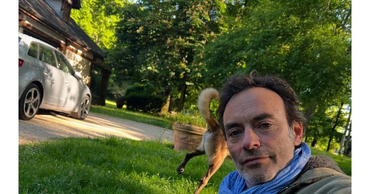 Anthony Delon ouvre les portes de Douchy, propriété d'Alain Delon, comme  jamais il ne l'a fait : un domaine loin d'être un palace sans âme -  Purepeople