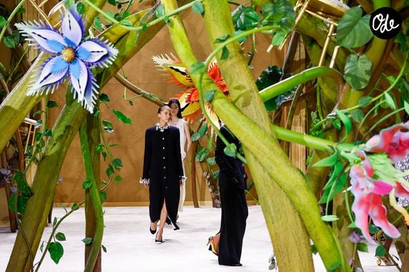 Défilé de mode Chanel Collection Haute Couture Automne/Hiver 2026-2027 lors de la Fashion Week de Paris (PFW) au Grand Palais, à Paris, France, le 7 juillet 2026. © Bestimage