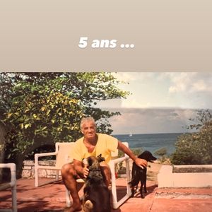 Jean-Paul Belmondo : 5 ans après sa mort, Natty, son ex-femme et mère de sa fille Stella, lui rend hommage.