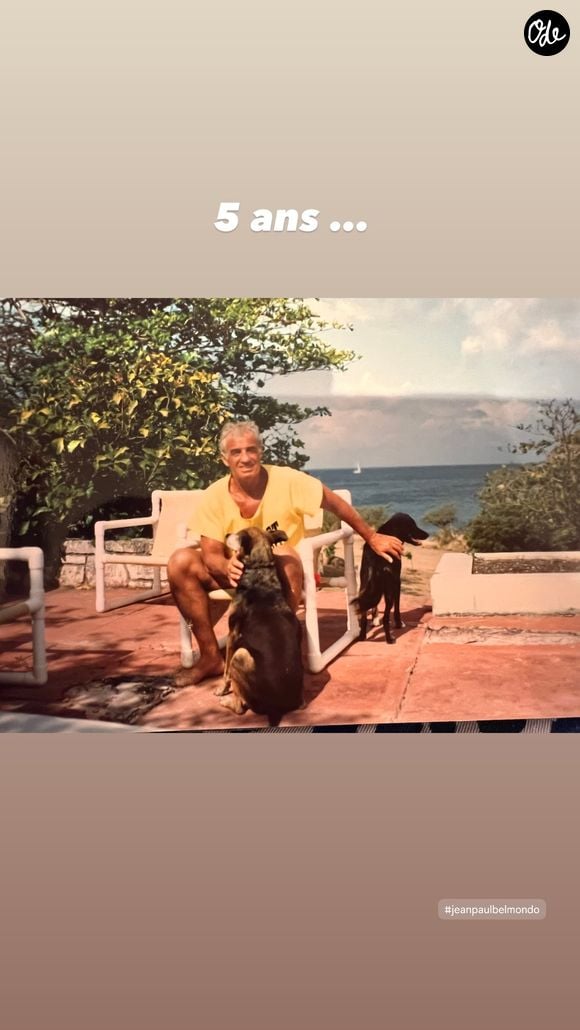 Jean-Paul Belmondo : 5 ans après sa mort, Natty, son ex-femme et mère de sa fille Stella, lui rend hommage.