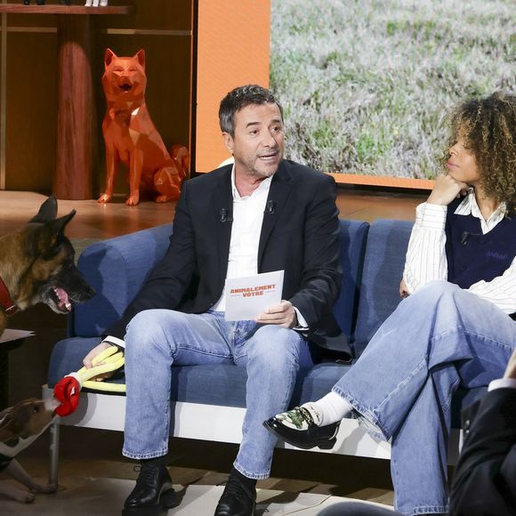 Bernard Montiel et Oli sur plateau de l'émission "Animalement Vôtre" présentée par B.Montiel et diffusée le 25 janvier 2026 sur France 3, à Paris, France, le 3 décembre 2025. © Jack Tribeca/Bestimage