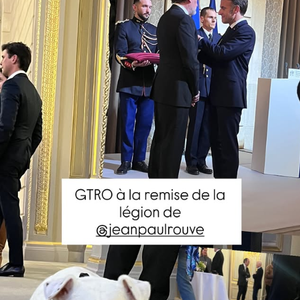 Le chien de Jean-Paul Rouve présent à sa décoration pour la légion d'honneur à l'Elysée.