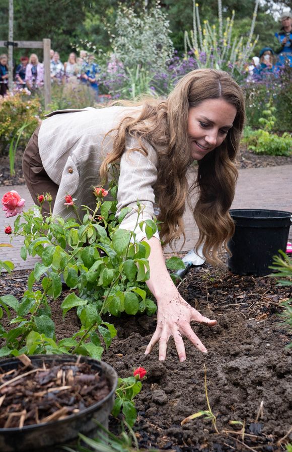 La princesse de Galles plante une rose lors d'une visite du jardin de bien-être de la RHS à l'hôpital de Colchester, dans l'Essex. Cette visite coïncide avec la donation de 50 plants de Catherine's Rose, nommés en l'honneur de la princesse par la RHS, dont les fonds provenant des ventes seront reversés à la Royal Marsden Cancer Charity. 2 juillet 2025. Photo par Stefan Rousseau/PA Wire/ABACAPRESS.COM