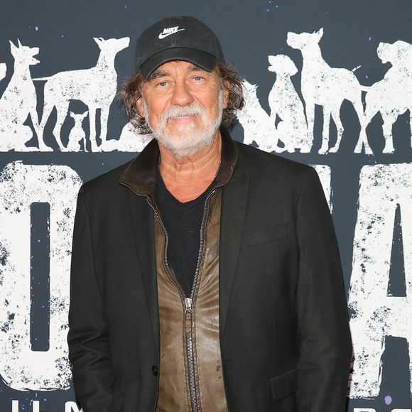 Sommé de préciser sa pensée, il s'est montré très agacé

Olivier Marchal - Avant-première du film "Dogman" au cinéma UGC Normandie à Paris le 19 septembre 2023. © Coadic Guirec/Bestimage