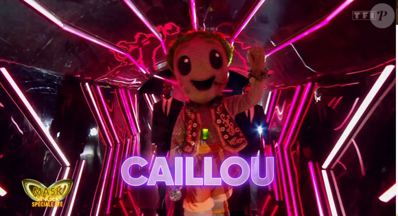 Le Caillou dans mask Singer 9 - capture d'écran TF1