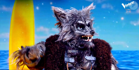 Il s'agit d'un enquêteur mystère

Mask Singer 9 : le Loup-garou retire son masque, prime du 29 mai - capture d'écran TF1