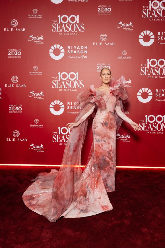 une banlieue ultra-sécurisée située à seulement une trentaine de minutes de Las Vegas, devenue au fil des années un véritable oasis pour milliardaires en quête de tranquillité.

Celine Dion au photocall du défilé anniversaire Elie Saab "1001 Seasons of Elie Saab" à l'espace "The Venue" à Riyad, Arabie saoudite le 13 novembre 2024.

© Tiziano Da Silva / Bestimage