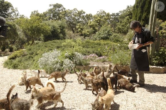 Archives - En France, Jacques Dutronc chez lui à Monticello en Corse avec ses chats. le 9 mai 2005.
GONGORA Marie-Anne via Bestimage
