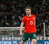 L'attaquant de Liverpool et son frère sont mort dans un accident de la route en Espagne
Diogo Jota lors du match entre le Danemark et le Portugal à Lisbonne le 23 mars 2025.
Crédit : Sylvain Dionisio / PsnewZ / Bestimage
