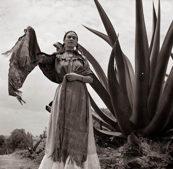 Son ventre est transpercé par une barre de fer de l'abdomen à la cavité pelvienne 'comme l'épée traverse un taureau' selon sa propre description.

Archives : Frida Kahlo @Alamy/ABACAPRESS.COM