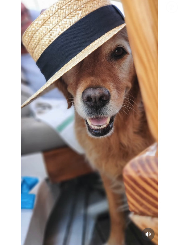 Et avait diffusé des photos de son animal.

Le chien disparu du chanteur Mika