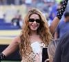 Si ces estimations n'ont pas été confirmées par l'artiste, une chose est en revanche officielle : Shakira a décidé de ne conserver aucun revenu issu de son hymne de la Coupe du monde.

Shakira célèbre la victoire de l'Espagne face à l'Argentine lors de la finale de la Coupe du monde de la FIFA, au New York New Jersey Stadium, dans le New Jersey, le 19 juillet 2026. Photo de Charles Guerin/ABACAPRESS.COM