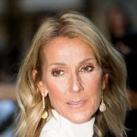 Voisins VIP et luxe absolu : bienvenue à Henderson, le refuge pour milliardaires où vit Céline Dion