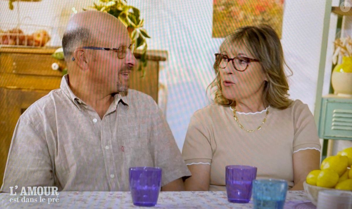 Ca fait beaucoup pour nous" : Denis (L'amour est dans le pré) et Romy  toujours ensemble mais leur situation n'est pas évidente (SPOILER) -  Purepeople