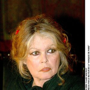 Brigitte Bardot reçue par le recteur de la Mosquée de Paris.

JEAN LOUIS MACAULT / BESTIMAGE