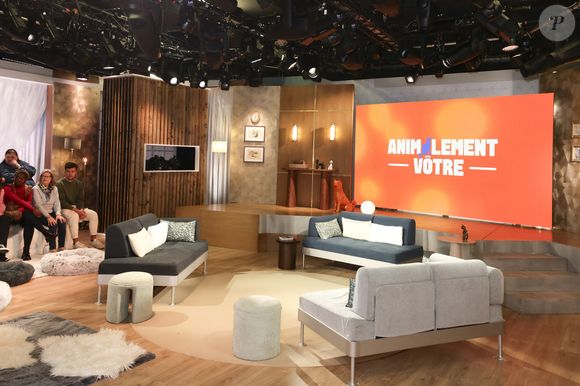 Exclusif - Présentation de l'équipe et du plateau de la nouvelle émission "Animalement Vôtre" présentée par Bernard Montiel et diffusée le dimanche 9 novembre dès 15.45 sur France 3, à Paris, France, le 13 octobre 2025. © Jack Tribeca/Bestimage