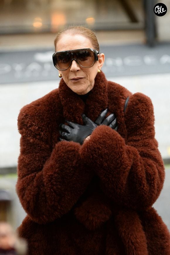 Céline Dion salue ses fans à la sortie de l’hôtel Royal Monceau à Paris, avant de rejoindre La Plenitude Arena de Paris La Défense pour poursuivre sa série de concerts, le 9 octobre 2026. La veille au soir, la star québecoise a trébuché sur scène avant d'oublier quelques paroles de sa chanson, "Pour que tu m'aimes encore" lors du final de son spectacle.
© Clément Prioli / Bestimage