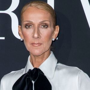 Celine Dion est arrivée à Paris hier

Celine Dion au photocall du défilé de mode Haute-Couture printemps-été 2019 "Giorgio Armani Prive Haute Couture" à Paris.
© Olivier Borde / Bestimage