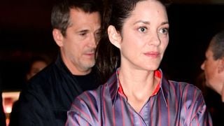 Scène de Marion Cotillard dans Batman : Guillaume Canet a une idée précise de l'identité du responsable