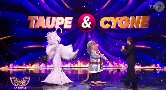 La Taupe de Mask Singer 8, capture d'écran TF1