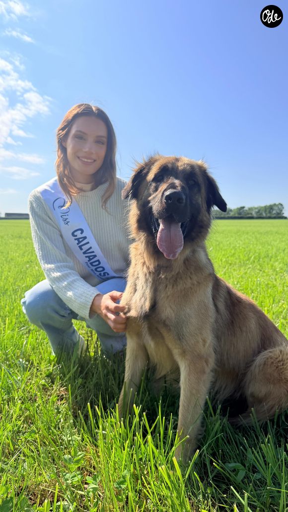 Pauline Gourlez, Miss Normandie 2026 en route pour Miss France 2027.