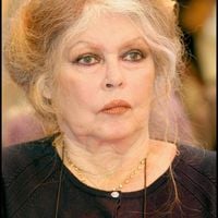 "Ça ne pouvait pas tomber plus mal" : Brigitte Bardot isolée par une panne à Saint-Tropez, rien ne va plus pour ses animaux