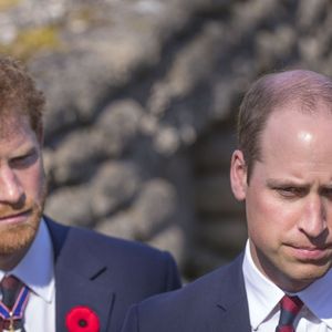 Le prince William et le prince Harry visitent les tranchées de Vimy lors des commémorations de la bataille de Vimy.

Photo : Express Syndication / Bestimage