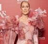 "La voix de Céline a énormément changé et elle se demande si son public est prêt à entendre la nouvelle Céline", a t-elle révélé.

Celine Dion au photocall du défilé anniversaire Elie Saab "1001 Seasons of Elie Saab" à l'espace "The Venue" à Riyad, Arabie saoudite le 13 novembre 2024.
© Tiziano Da Silva / Bestimage