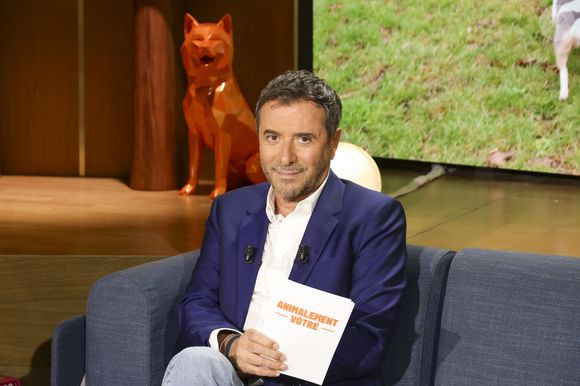 L’émission réunit chroniqueurs et experts autour du thème du bien-être animal et reçoit deux personnalités.

Exclusif - Bernard Montiel sur plateau de l'émission "Animalement Vôtre" présentée par B.Montiel et diffusée le 4 janvier 2026 sur France 3, à Paris, France, le 3 décembre 2025. © Jack Tribeca/Bestimage