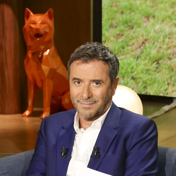 L’émission réunit chroniqueurs et experts autour du thème du bien-être animal et reçoit deux personnalités.

Exclusif - Bernard Montiel sur plateau de l'émission "Animalement Vôtre" présentée par B.Montiel et diffusée le 4 janvier 2026 sur France 3, à Paris, France, le 3 décembre 2025. © Jack Tribeca/Bestimage