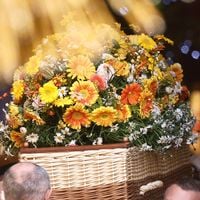 "Iconique" : L'entreprise qui a fabriqué le cercueil en osier de Brigitte Bardot fait face à une demande sans précédent