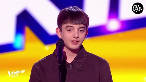 Le jeune Enzo, âgé de 15 ans, a chanté le titre "Sans toi" de Lénie ©TF1