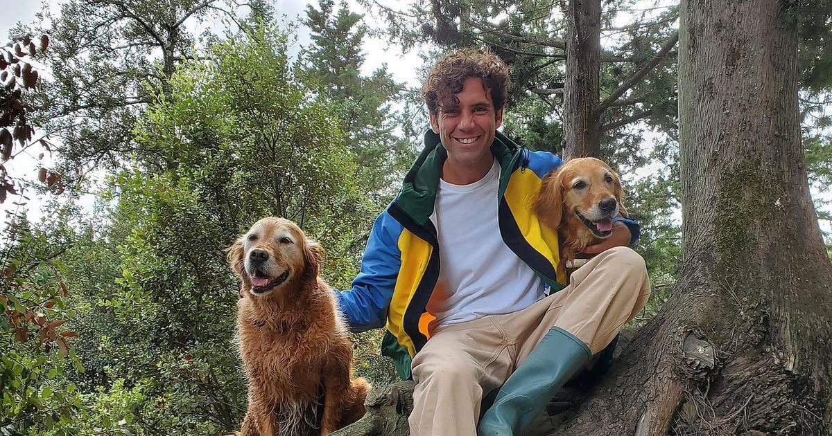 Mika : La maison qu'il achetée se trouve juste en face de celle d'un auteur à qui l'on doit un roman mythique