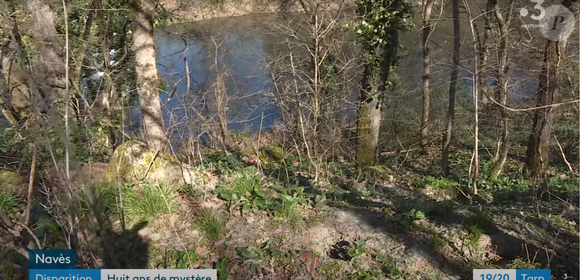 "Gendarmes, chiens spécialisés, plongeurs, hélicoptère...Tout a été mis en œuvre pour percer ce mystère". En vain..

Disparition de Laurence Mangué, capture d'écran YouTube - France 3 Occitanie