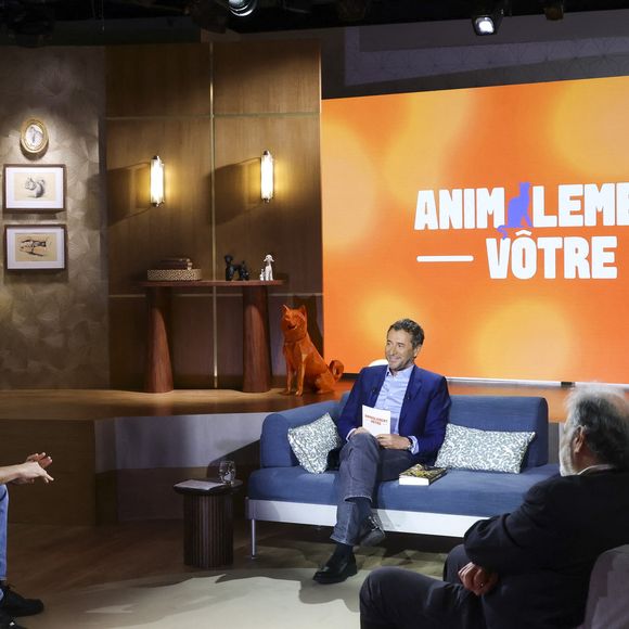 Exclusif - Bernard Werber, sur plateau de la nouvelle émission "Animalement Vôtre" présentée par Bernard Montiel et diffusée le 9 novembre sur France 3, à Paris, France, le 13 octobre 2025. © Jack Tribeca/Bestimage